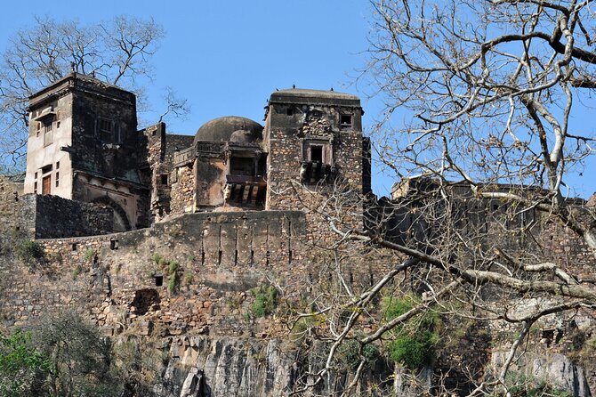 03 Days Private Ranthambore Wildlife Safari Tour From Delhi - Two shared canter safaris: how to manage expectations for tigers