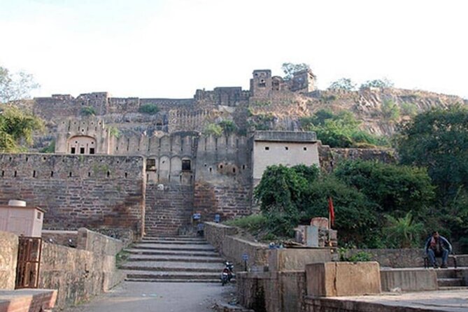 03 Days Private Ranthambore Wildlife Safari Tour From Delhi - Price and value: is $220 per person a smart deal?