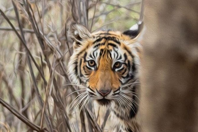 05 Days - Private Luxury Golden Triangle Tour with Ranthambore - Day 1 in Delhi: Qutub Minar to Old Delhi by Rickshaw