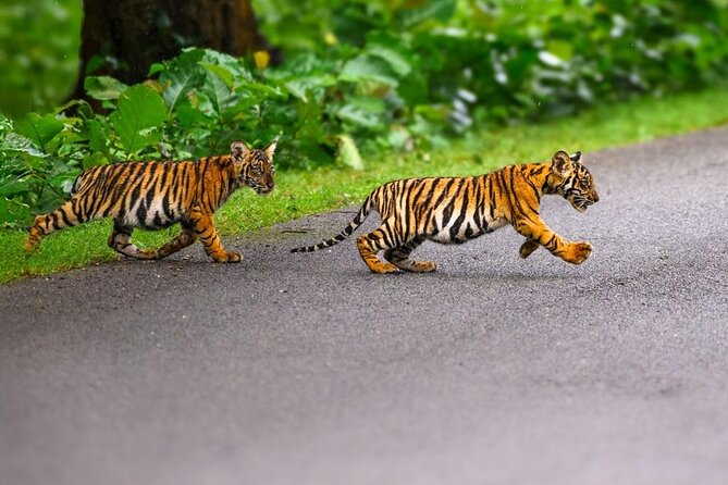 05 Days - Private Luxury Golden Triangle Tour with Ranthambore - Day 4 and 5 in Jaipur: Fort Views, City Palace, and Hawa Mahal Photos