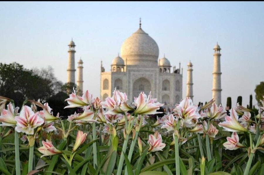 06 Days Golden Triangle Tour with Ranthambore Safari - The Golden Triangle plus Ranthambore, in plain terms