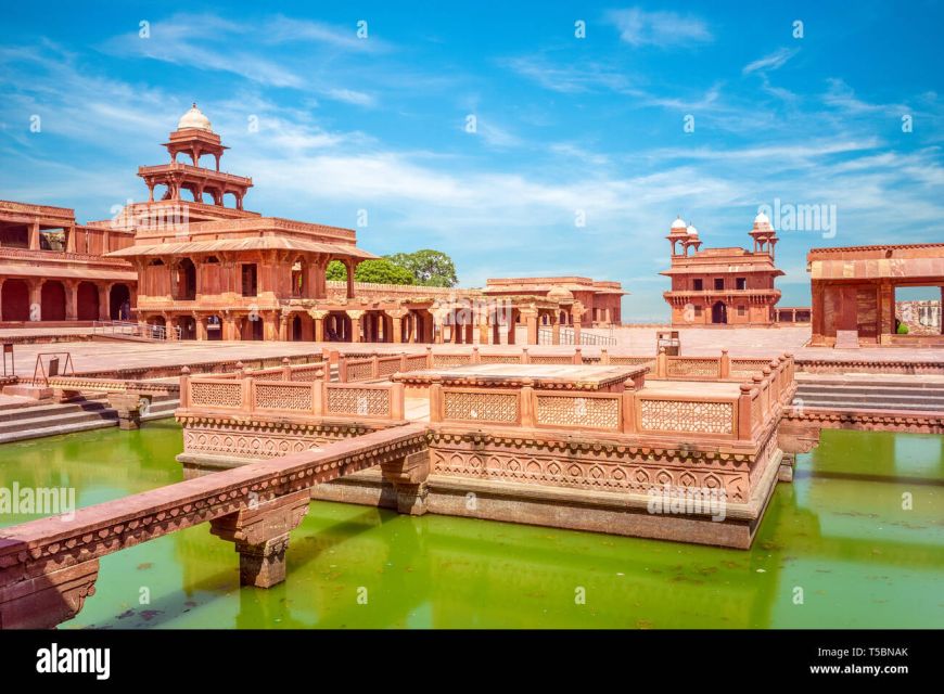 06 Days Golden Triangle Tour with Ranthambore Safari - Ranthambore Day 5: second safari in the morning, then the road to Agra