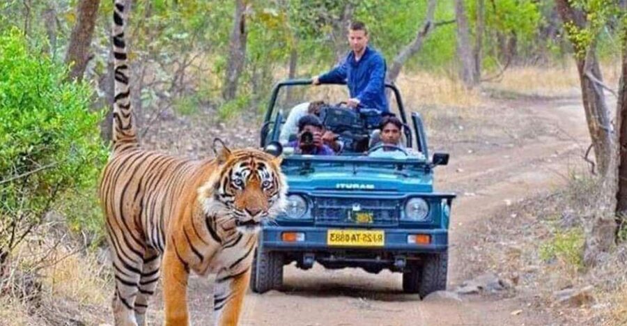 06 Days Golden Triangle Tour with Ranthambore Safari - Day 1 in Delhi: IGI arrival and a low-stress hotel start