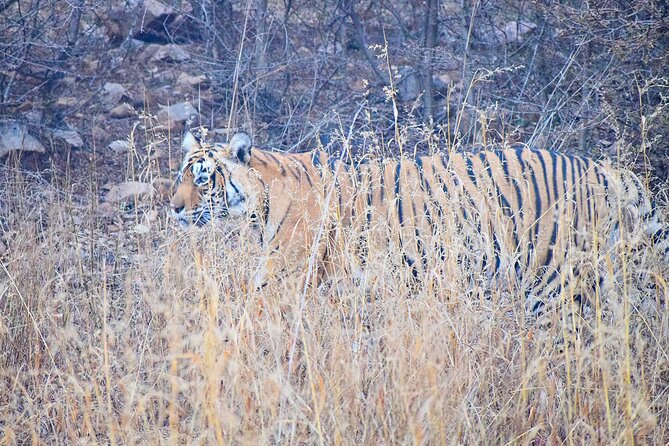 12-Days - Splendors of Golden Triangle & Rajasthan - Agra Day 3 and Day 4: Agra Fort and the sunrise Taj Mahal