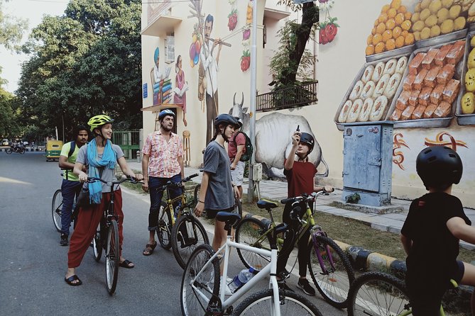 3.5-Hours South Delhi Private Bike Tour with Lodi Art District - Why South Delhi Looks Different When You Bike