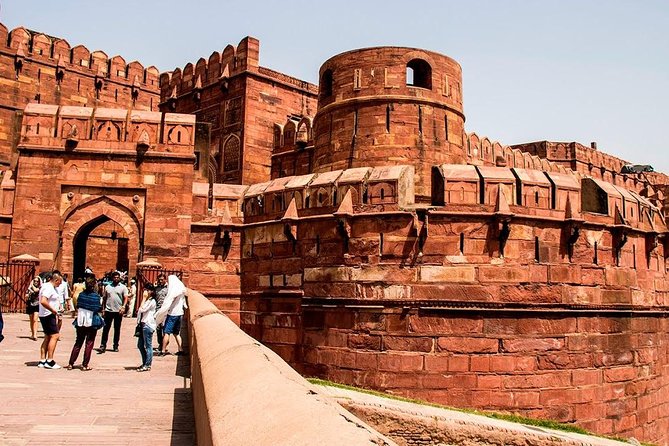 3-Day Private Ranthambhore Tiger Tour Including Delhi, Agra, Jaipur - Transfers back to Delhi: long drive, flexible drop-off