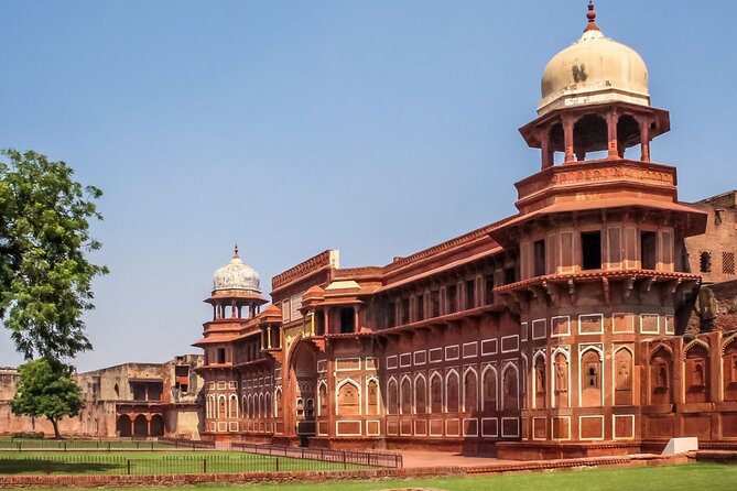 3 Days Luxury Golden Triangle Tour - Comfort, safety, and the value of a real pro behind the wheel