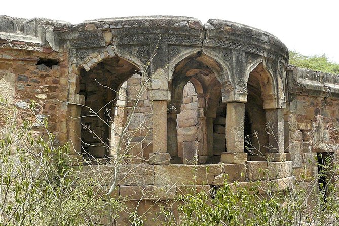 3-Hour Mehrauli Archaeological Park Ruins Walking Tour Delhi - The Guide Factor: Why Jai Singh’s Storytelling Changes Everything