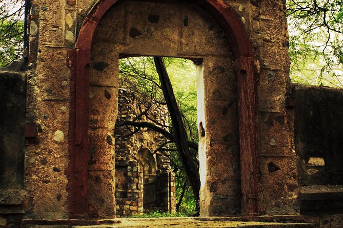 3-Hour Mehrauli Archaeological Park Ruins Walking Tour Delhi - How Long to Spend, and What to Wear (Because Delhi Has Its Own Opinions)