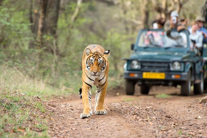 4 Day Golden Triangle Tour with Ranthambore Tiger Safari - Day 1 in Delhi: monuments with a photographer’s mindset