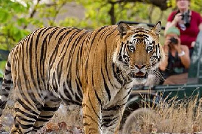 4-Day Private Delhi, Agra & Jaipur with Ranthambore Tiger Safari - Agra Day 2: Sunrise Taj Mahal, Baby Taj, and Agra Fort With Smart Energy