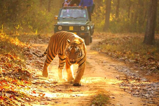 4-Day Private Ranthambhore Tiger Tour Including Delhi, Agra and Jaipur - Day 1 in Delhi: Humayun’s Tomb, Qutub Minar, and Lotus Temple calm