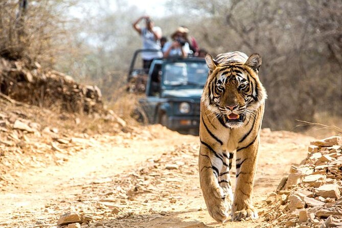 4-Day Private Ranthambhore Tiger Tour Including Delhi, Agra and Jaipur - Agra at sunrise: Taj Mahal tickets, parking, and that first look