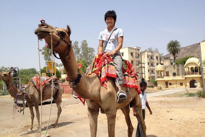 4 Days Golden Triangle Tour India From Delhi - Price and Logistics for a 4-Day Delhi to Agra and Jaipur Route