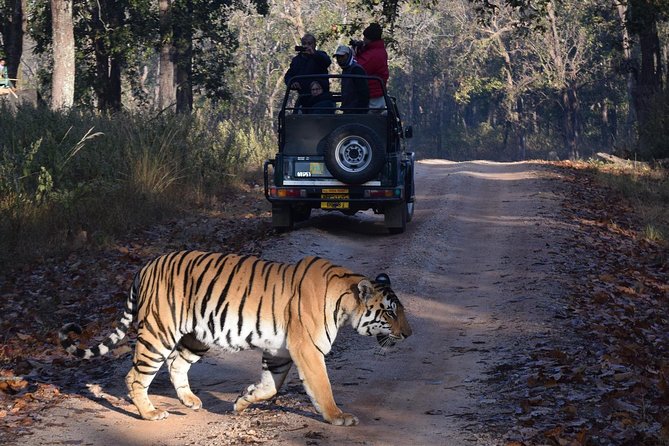 4 Days Golden Triangle Tour with Ranthambore from Delhi - Day 1 in Delhi: Qutub Minar and a guided heritage start