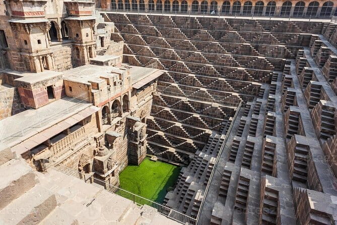 5-Day Golden Triangle Delhi Agra Jaipur Tour with Leopard Safari - Guides and drivers: the real quality difference