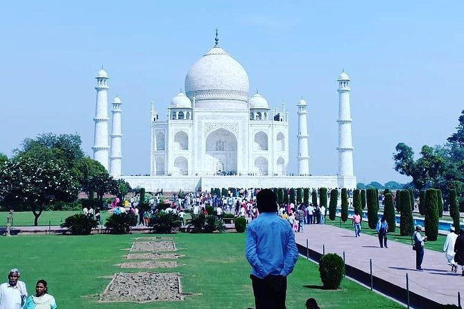 5 Days Golden Triangle Tour with Ranthambore Delhi Agra Jaipur - Day 5 Back to Delhi for Your Drop-Off