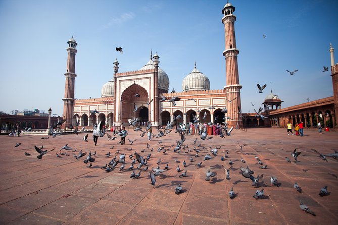 5 Days Private Golden Triangle Tour to Agra & Jaipur from Delhi - Day 5: return to Delhi around 2 PM, with room to adjust