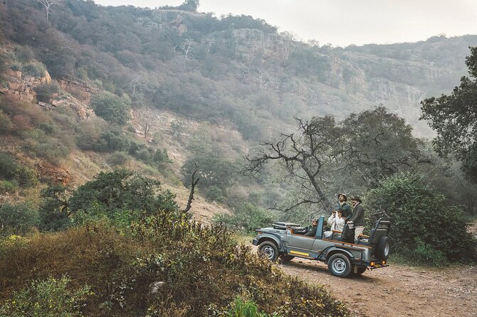 7-Day Golden Triangle Tour with Ranthambore Tiger Safari - Route at a Glance: Delhi to Agra to Ranthambore to Jaipur