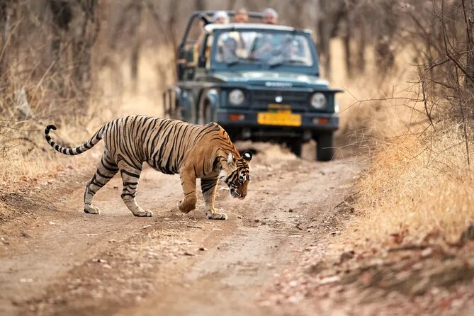 7 Days Golden Triangle Tour with Ranthambore & Varanasi Tour - Day 1 Delhi: Qutub Minar and the First UNESCO-Grade Wow
