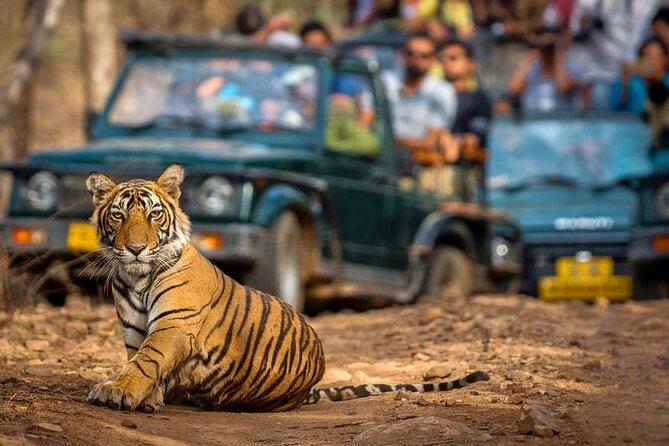 7 Days Golden Triangle Tour with Ranthambore & Varanasi Tour - Day 2 Jaipur: Amer Fort, City Palace, and Jantar Mantar