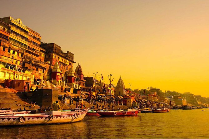 7 Days Golden Triangle Tour with Ranthambore & Varanasi Tour - Day 3 Ranthambore National Park: Morning Safari in Shared Vehicles
