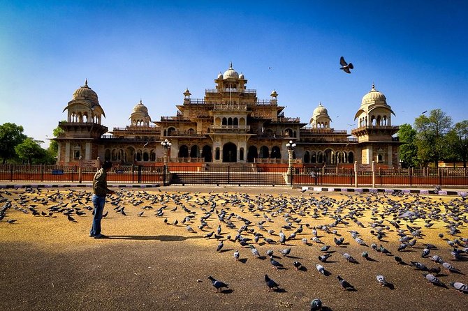 7 - Days Private Incredible Golden Triangle Tour of India - Getting your money value: what $365 buys and what it does not