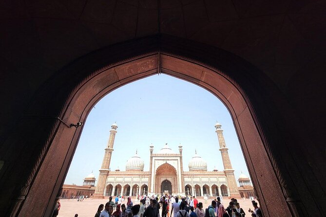 7 Days Private Tour to New Delhi, Agra, and Jaipur - Jaipur day: Jal Mahal, Hawa Mahal, City Palace, Jantar Mantar, Albert Hall