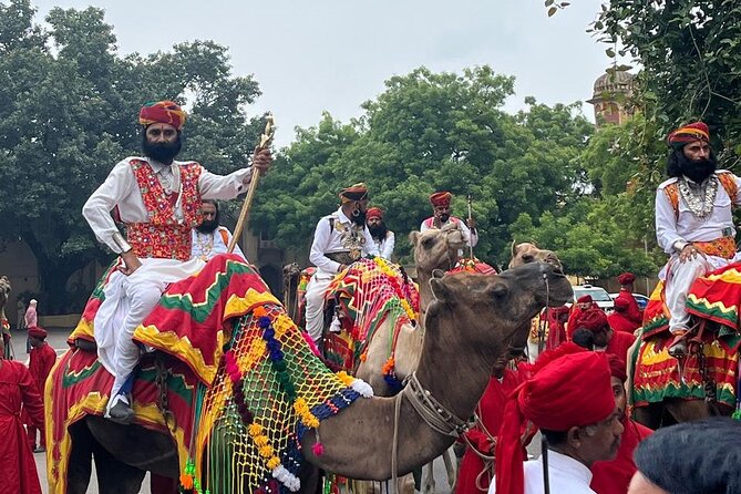 7 Days Ranthambore Tiger Safari and The Golden Triangle Tour - Price and What You Actually Get for $765.99