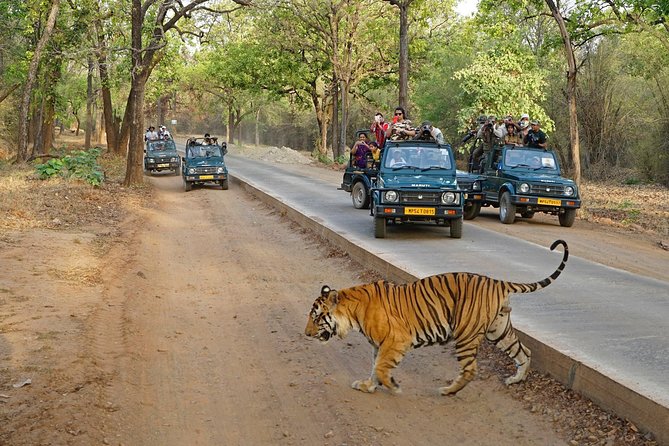 8 Day Golden Triangle Tour with Ranthambore {Taj , Tigers & More} - Day 2 in Delhi: Jama Masjid, Red Fort exterior, Humayun’s Tomb, and Qutub Minar