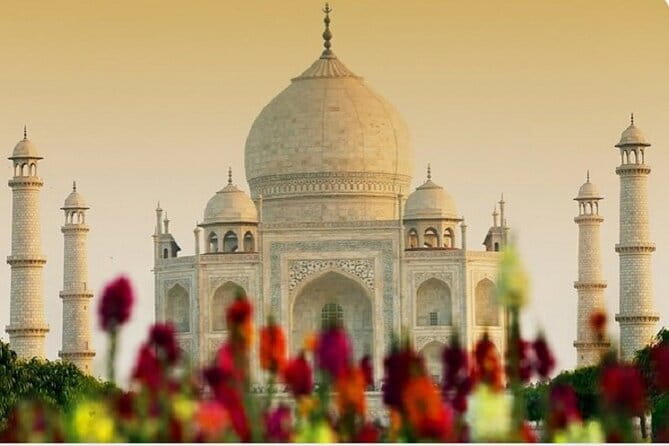 all inclusive private day trip to taj mahal from delhi by car - Key highlights that make this day trip work
