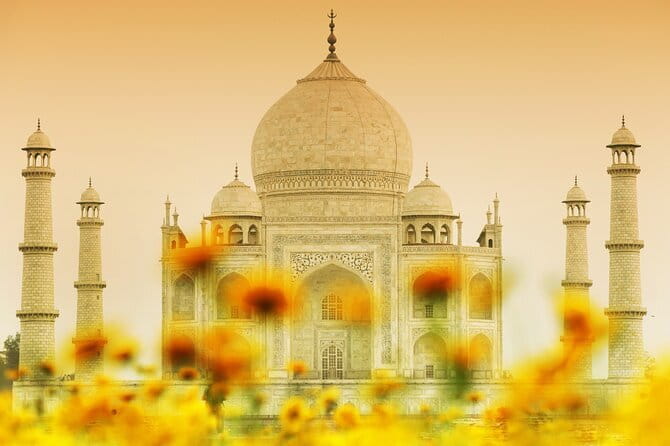 All-Inclusive Private Tour From Delhi To The Taj Mahal - Lunch at a 5-star hotel: the underrated value add