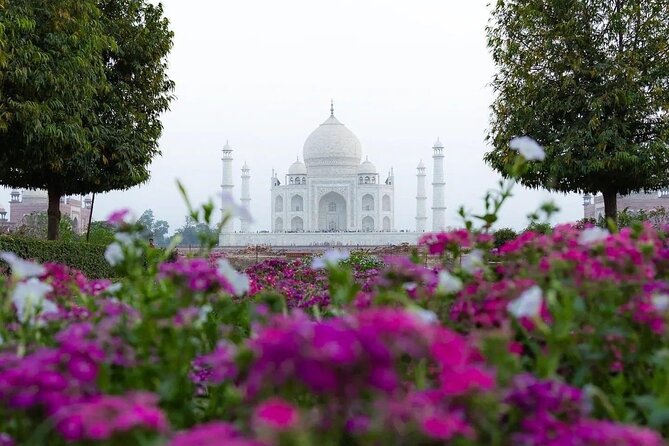 All Inclusive Same Day Taj Mahal and Agra Fort Tour from Delhi - Lunch and the reality of a long day