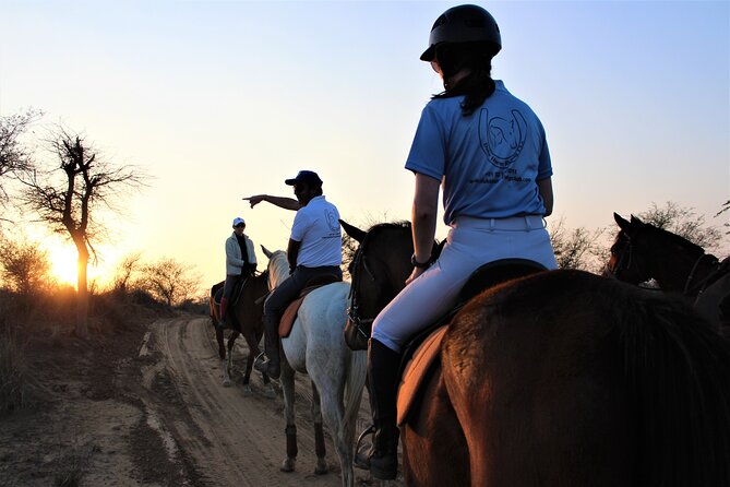 Aravali Trail Experience( Jungle Safari Forest area)- Horseback Riding - Key highlights you will actually care about