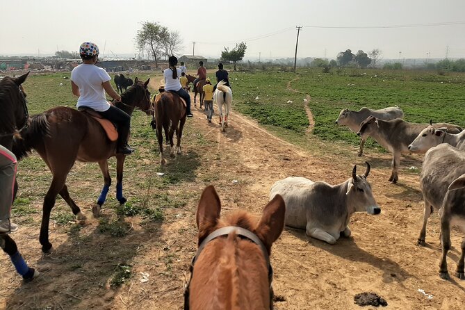 Aravali Trail Experience( Jungle Safari Forest area)- Horseback Riding - Duke Horse Riding Club near Gurugram, where the ride begins