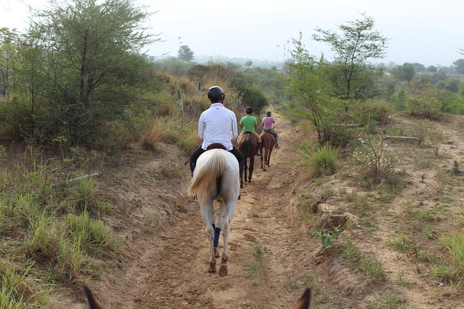 Aravali Trail Experience( Jungle Safari Forest area)- Horseback Riding - What to pack and how to prepare for the ride