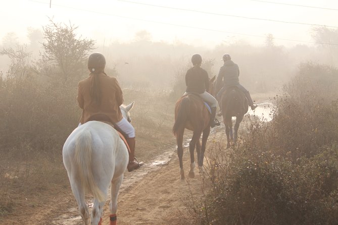 Aravali Trail Experience( Jungle Safari Forest area)- Horseback Riding - The 6:00 am schedule: what the 2-hour private lesson feels like