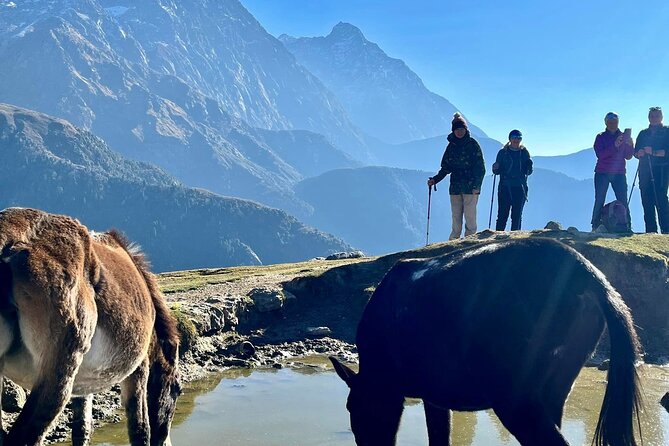 Dalai Lama Himalayan Trek - Taj Mahal finale: how the tour ties it together