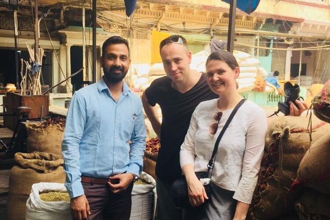 Day Tour of Delhi: Old and New with Local Experts - Getting oriented with an AC drive through New Delhi