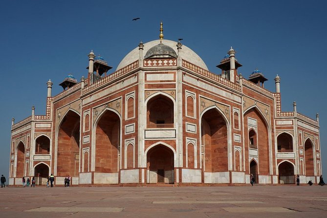 Day Tours Delhi-Full Day Private Old and New Delhi Tour - Old Delhi Start: Jama Masjid, Then Chandni Chowk by Foot and Rickshaw