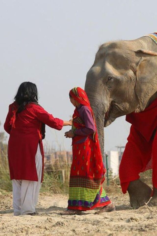Delhi: 3Day Golden Triangle with Elephant SOS (5 Star Hotel) - First Look: A 3-Day Golden Triangle That Tries to Do It All