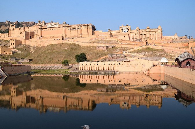 Delhi, Agra, Jaipur & Ranthambhore Tiger Safari 5-Day Tour - Who this tour suits best