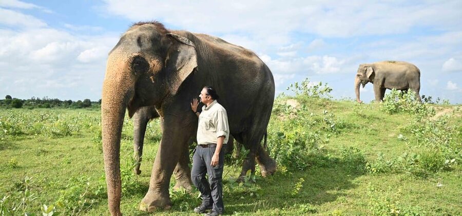 Delhi: All-Inclusive Day trip Taj Mahal with Elephant SOS - Wildlife SOS Agra: Elephant Conservation and Care Center, donation rules, and zone choices