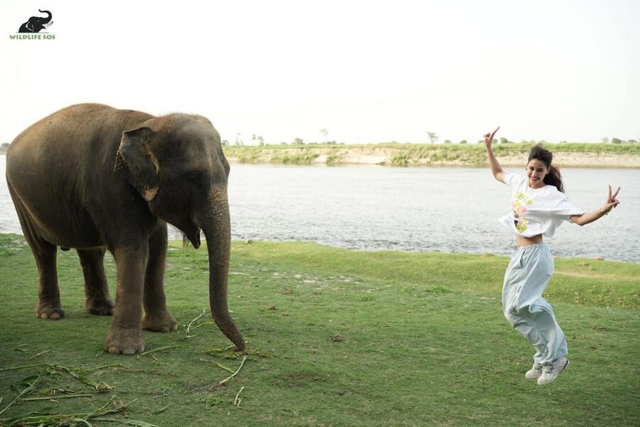 Delhi: All-Inclusive Day trip Taj Mahal with Elephant SOS - Sunrise option at 2:30 or 3:00 am, and how it changes the Taj moment