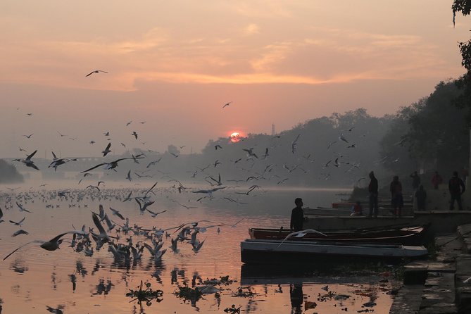 Delhi By Dawn:Secret morning Delhi Tour + Breakfast all inclusive - Kashmere Gate to Civil Lines: your first lesson in how Delhi thinks