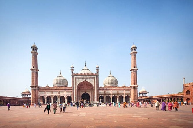 Delhi: City Sightseeing Private tour Half or Full-Day Option - What the Price Usually Buys You (And Where Value Shows)