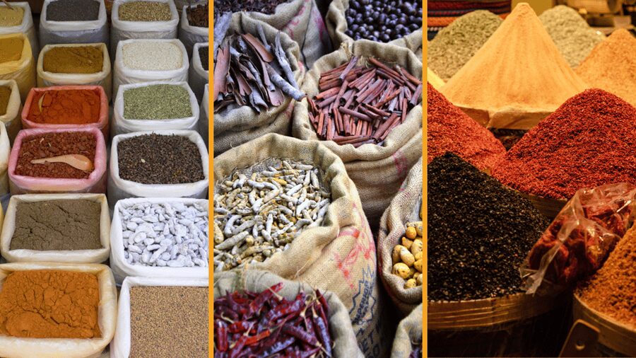 Delhi City Tour: Old, New, or Both – Half & Full Day Options - Who this tour is best for