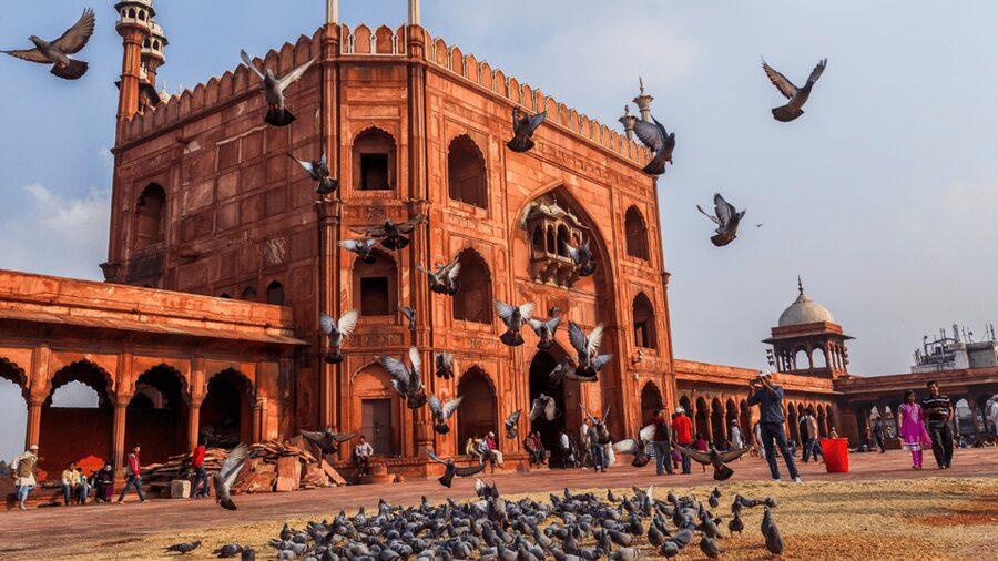 Delhi City Tour: Old, New, or Both – Half & Full Day Options - Old Delhi by tuk-tuk: Jama Masjid, Chandni Chowk, and the faith stops