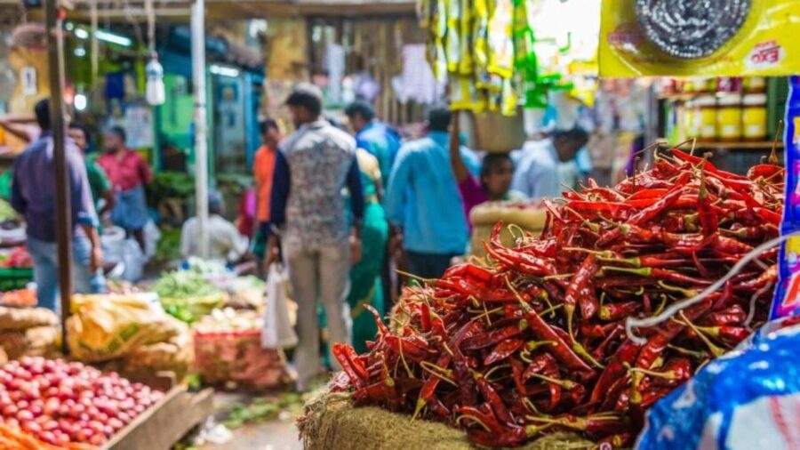 Delhi: Half day Shopping tour with guide by car. - Pickup, car time, and tailoring the route to what you want