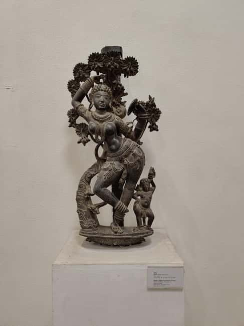 Delhi: National Museum Tour - Price, comfort, and who this private tour fits